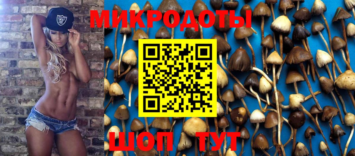 Галлюциногенные грибы Psilocybine cubensis  Вход с VPN  Тула 